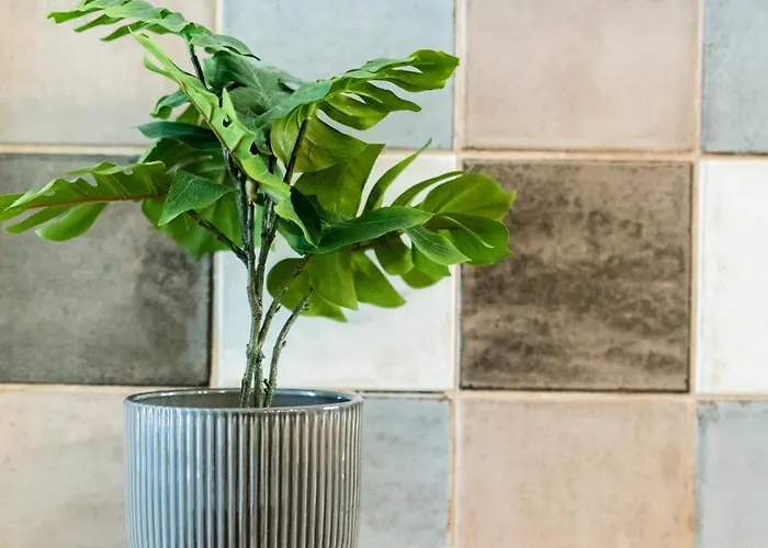 Apartament La Racha - By Agada *