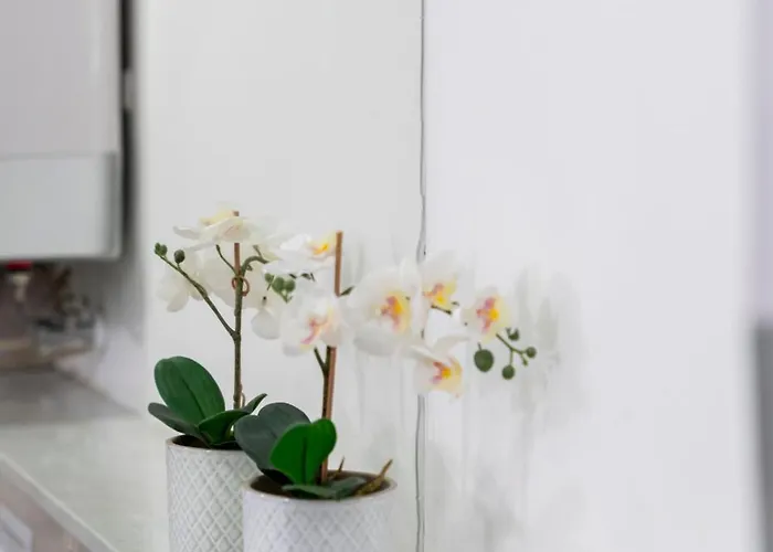 La Racha - By Agada Apartament