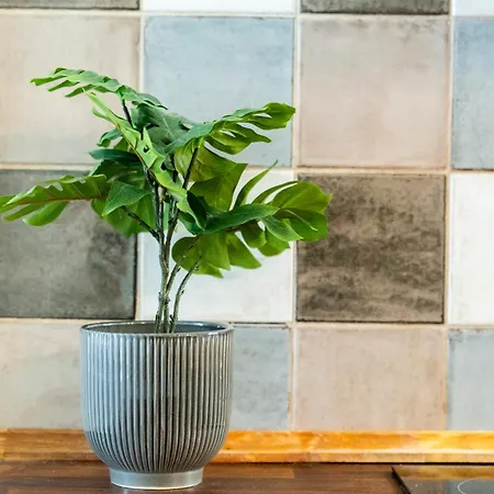 Appartamento La Racha - By Agada *